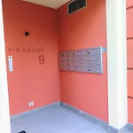 Lola * Levanto
